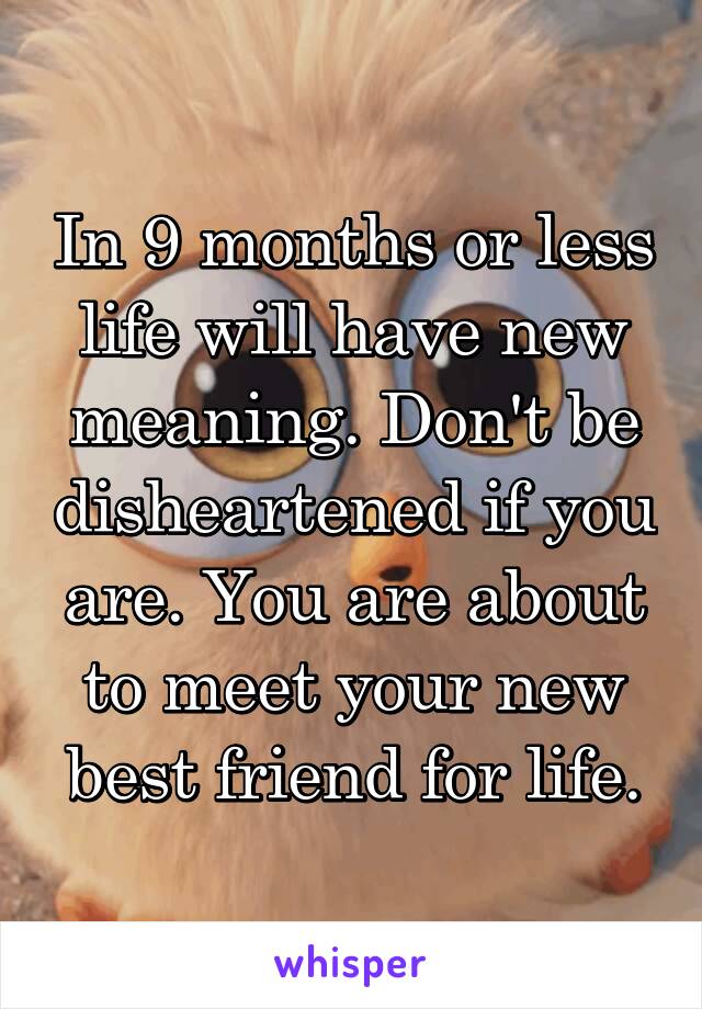 In 9 months or less life will have new meaning. Don't be disheartened if you are. You are about to meet your new best friend for life.