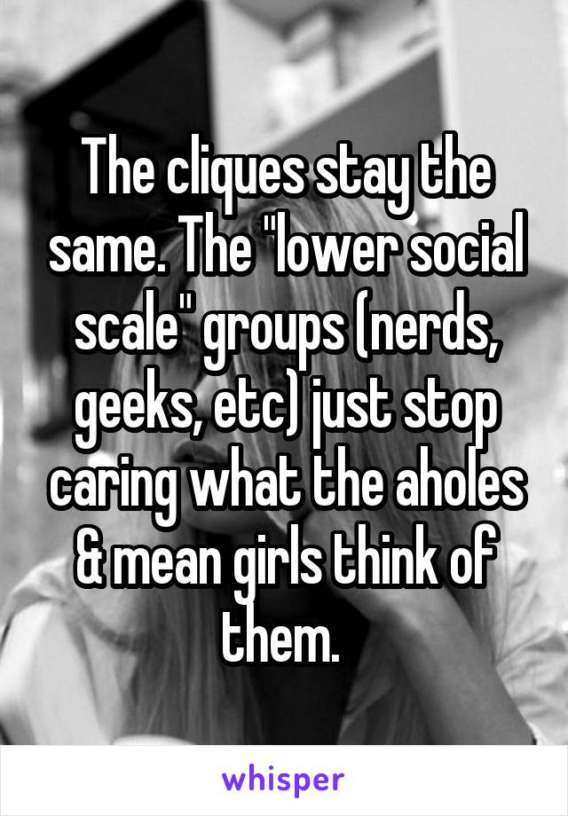 The cliques stay the same. The "lower social scale" groups (nerds, geeks, etc) just stop caring what the aholes & mean girls think of them. 