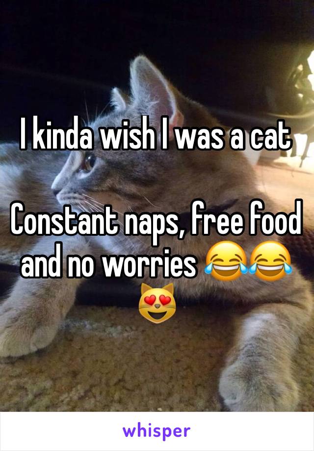 I kinda wish I was a cat

Constant naps, free food and no worries 😂😂😻