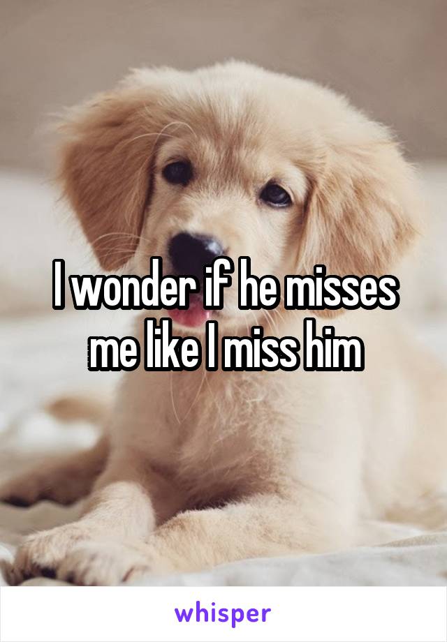 I wonder if he misses me like I miss him