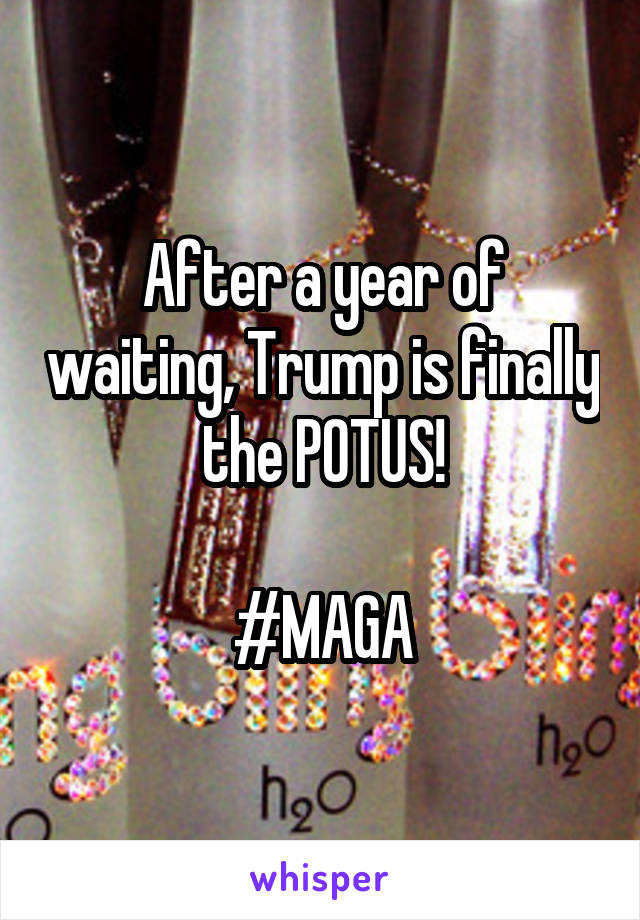 After a year of waiting, Trump is finally the POTUS!

#MAGA