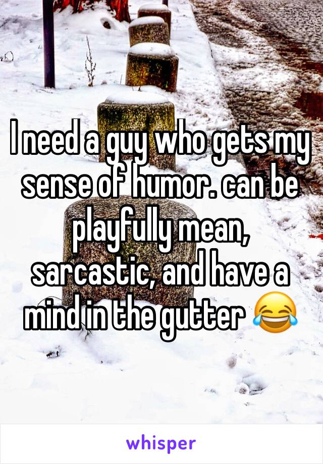 I need a guy who gets my sense of humor. can be playfully mean, sarcastic, and have a mind in the gutter 😂