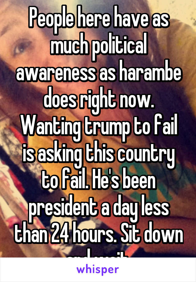 People here have as much political awareness as harambe does right now. Wanting trump to fail is asking this country to fail. He's been president a day less than 24 hours. Sit down and wait.