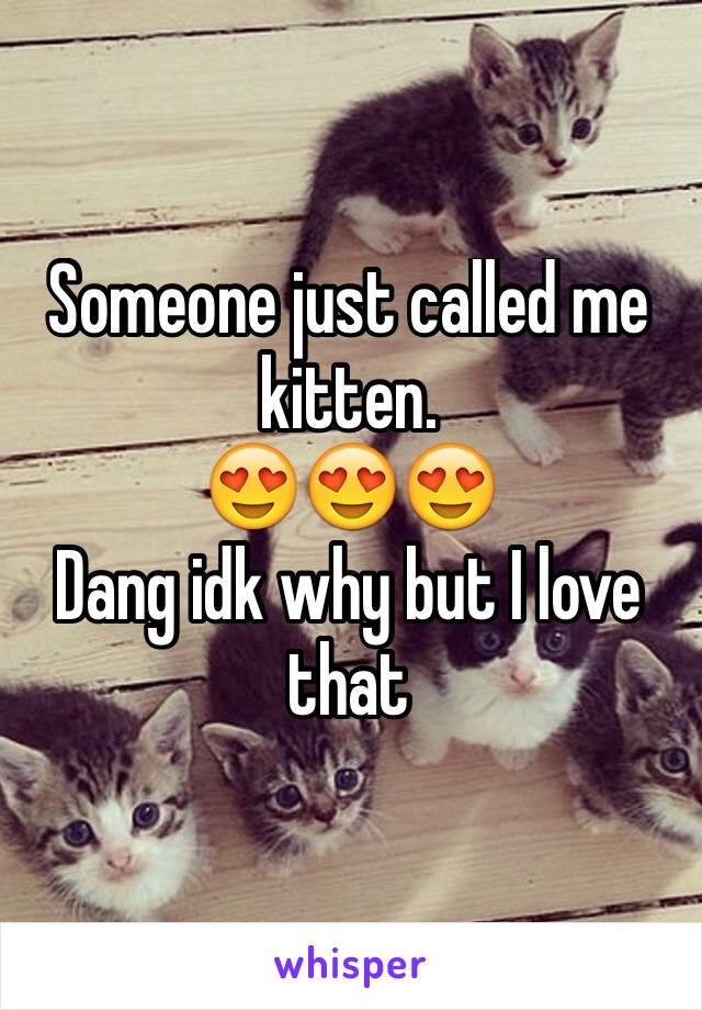 Someone just called me kitten. 
😍😍😍
Dang idk why but I love that