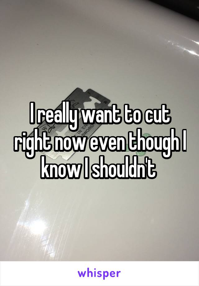 I really want to cut right now even though I know I shouldn't 