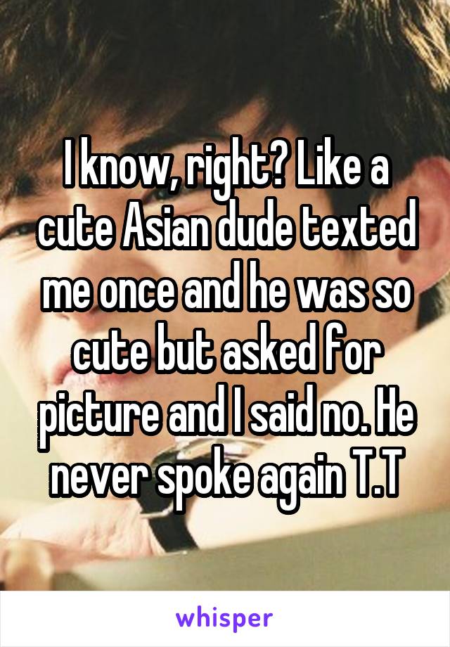 I know, right? Like a cute Asian dude texted me once and he was so cute but asked for picture and I said no. He never spoke again T.T