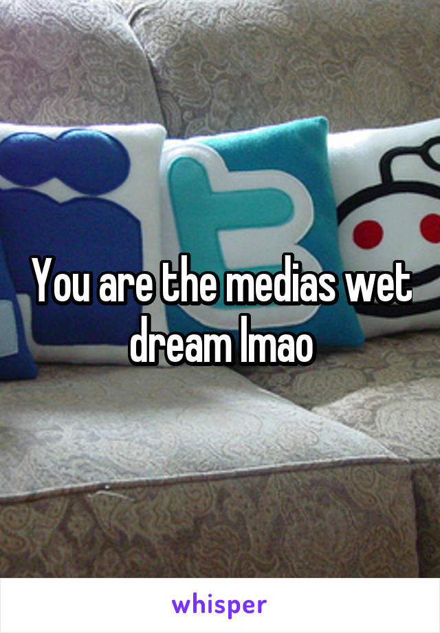 You are the medias wet dream lmao