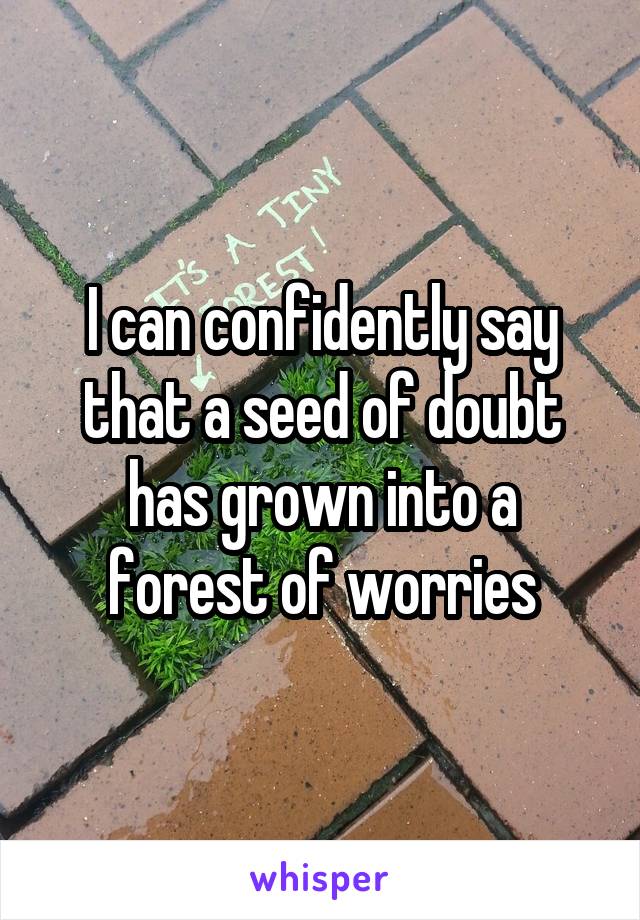 I can confidently say that a seed of doubt has grown into a forest of worries