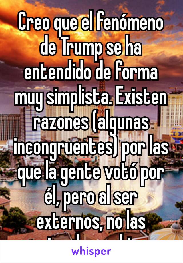 Creo que el fenómeno de Trump se ha entendido de forma muy simplista. Existen razones (algunas incongruentes) por las que la gente votó por él, pero al ser externos, no las entendemos bien.