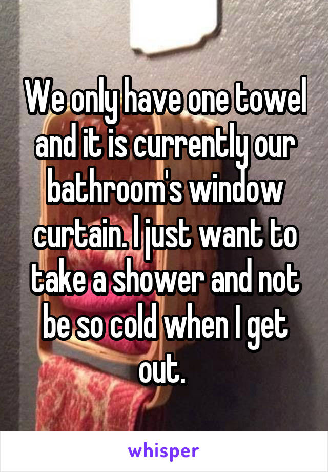 We only have one towel and it is currently our bathroom's window curtain. I just want to take a shower and not be so cold when I get out. 