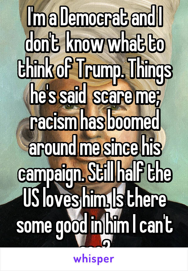 I'm a Democrat and I don't  know what to think of Trump. Things he's said  scare me; racism has boomed around me since his campaign. Still half the US loves him. Is there some good in him I can't see?