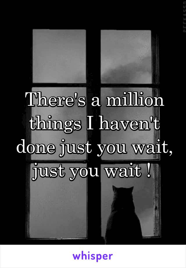 There's a million things I haven't done just you wait, just you wait ! 