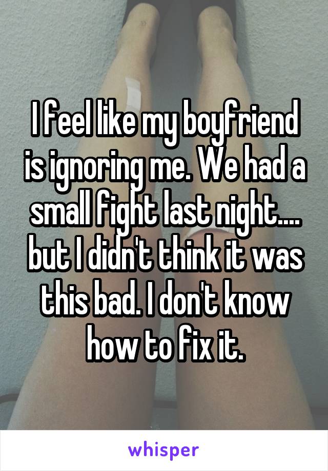 I feel like my boyfriend is ignoring me. We had a small fight last night.... but I didn't think it was this bad. I don't know how to fix it.