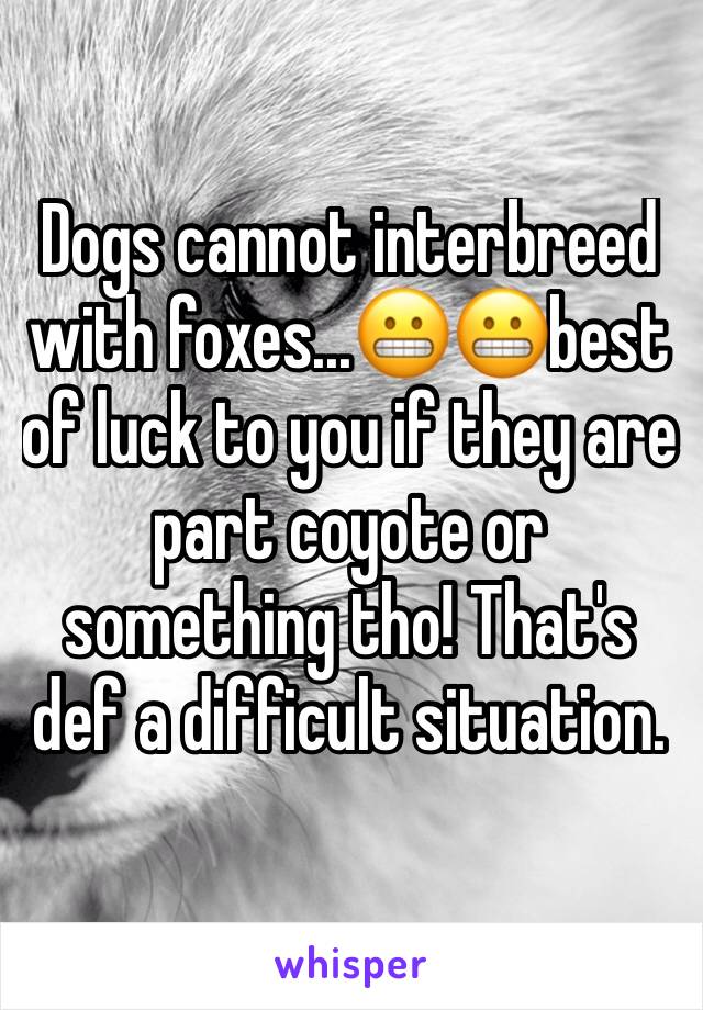 Dogs cannot interbreed with foxes...😬😬best of luck to you if they are part coyote or something tho! That's def a difficult situation. 