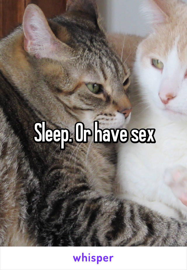 Sleep. Or have sex