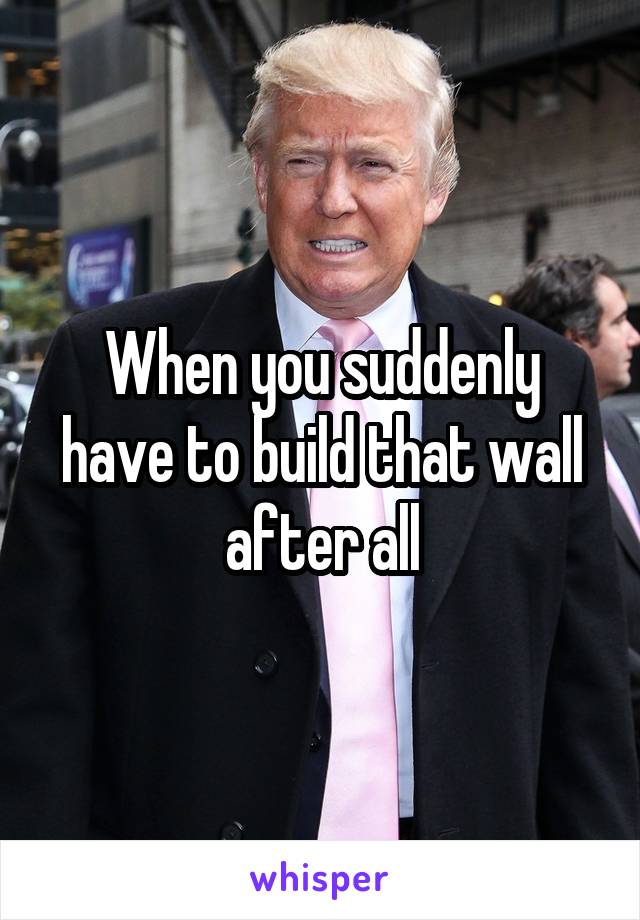 When you suddenly have to build that wall after all