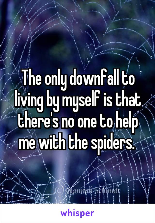 The only downfall to living by myself is that there's no one to help me with the spiders. 