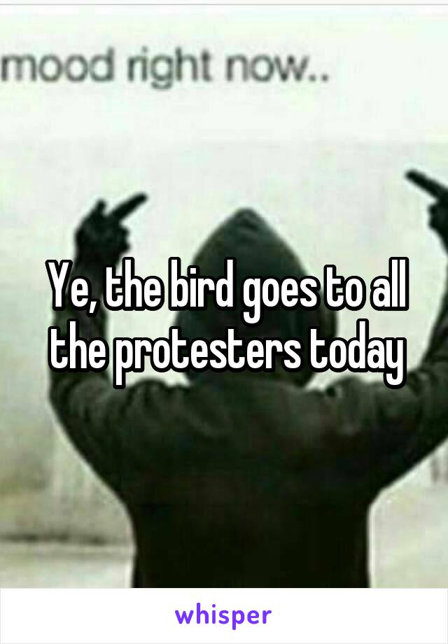 Ye, the bird goes to all the protesters today