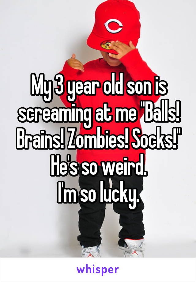 My 3 year old son is screaming at me "Balls! Brains! Zombies! Socks!"
He's so weird.
I'm so lucky.