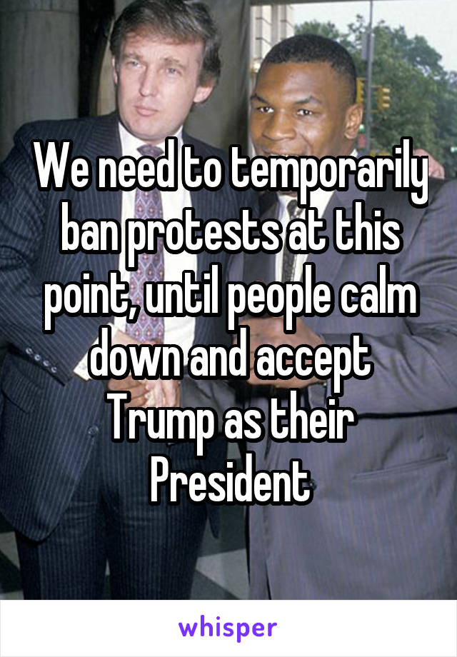 We need to temporarily ban protests at this point, until people calm down and accept Trump as their President