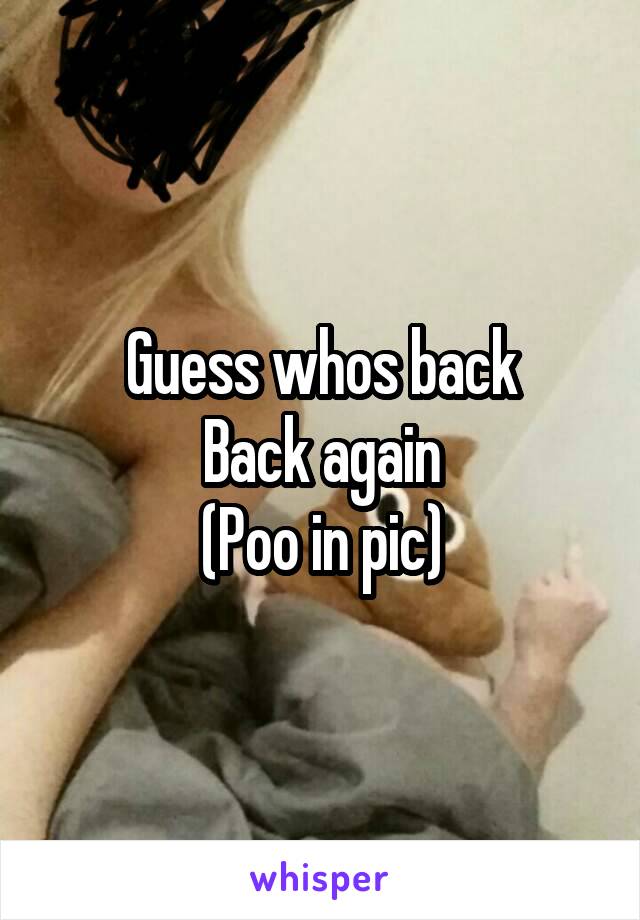 Guess whos back
Back again
(Poo in pic)