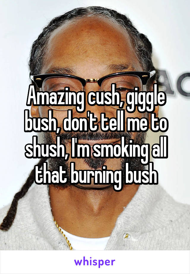 Amazing cush, giggle bush, don't tell me to shush, I'm smoking all that burning bush