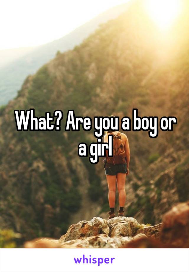 what-are-you-a-boy-or-a-girl