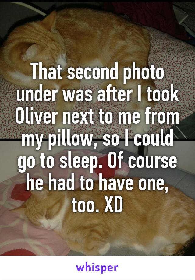 That second photo under was after I took Oliver next to me from my pillow, so I could go to sleep. Of course he had to have one, too. XD