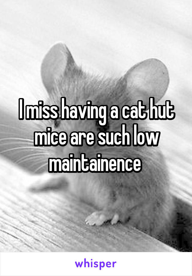 I miss having a cat hut mice are such low maintainence 