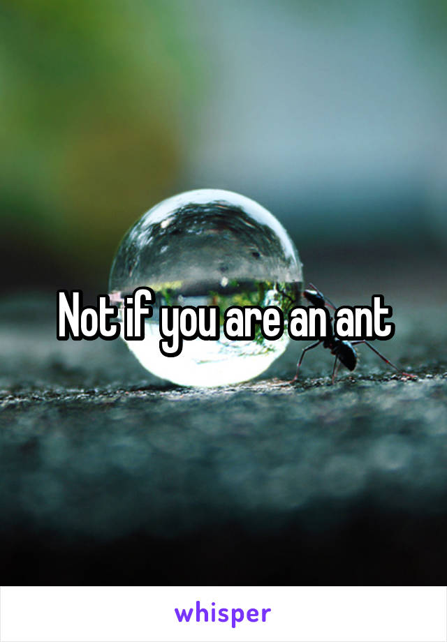 Not if you are an ant