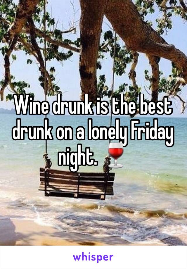 Wine drunk is the best drunk on a lonely Friday night. 🍷