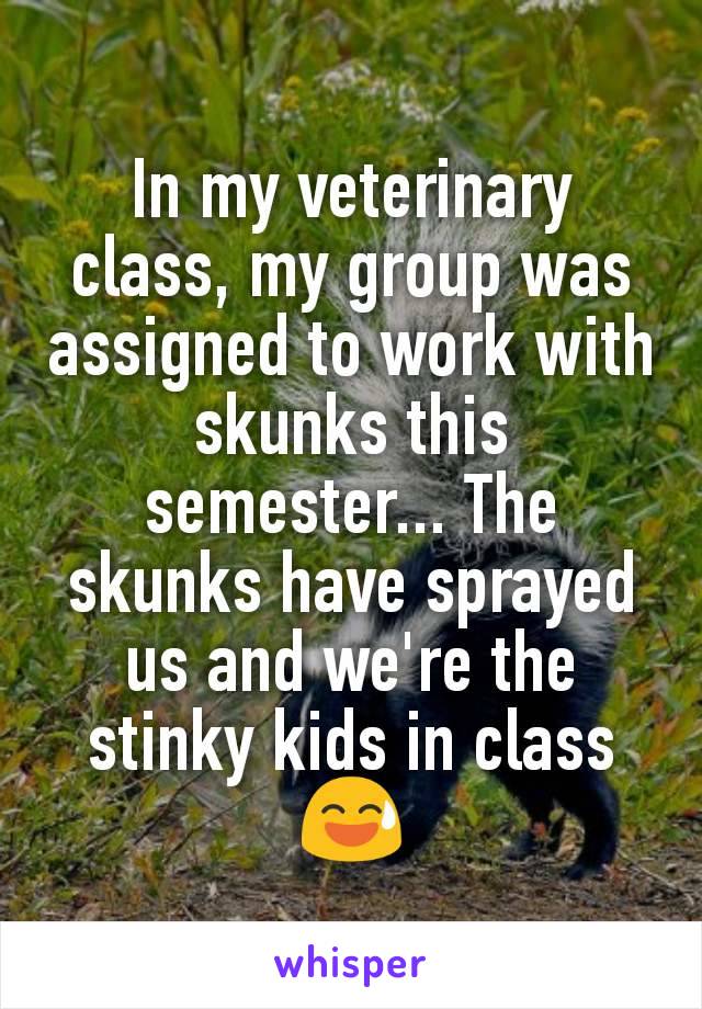 In my veterinary class, my group was assigned to work with skunks this semester... The skunks have sprayed us and we're the stinky kids in class 😅