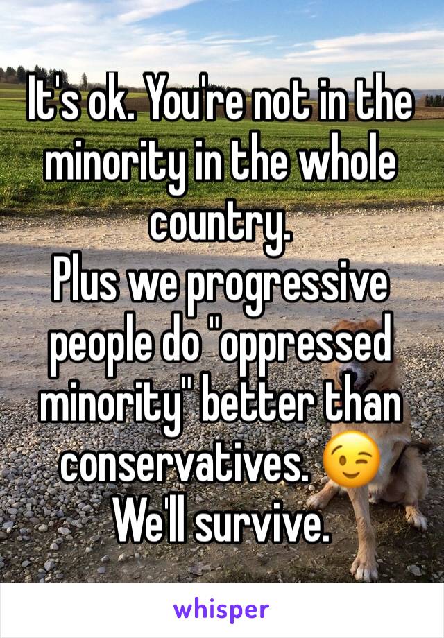 It's ok. You're not in the minority in the whole country. 
Plus we progressive people do "oppressed minority" better than conservatives. 😉
We'll survive. 