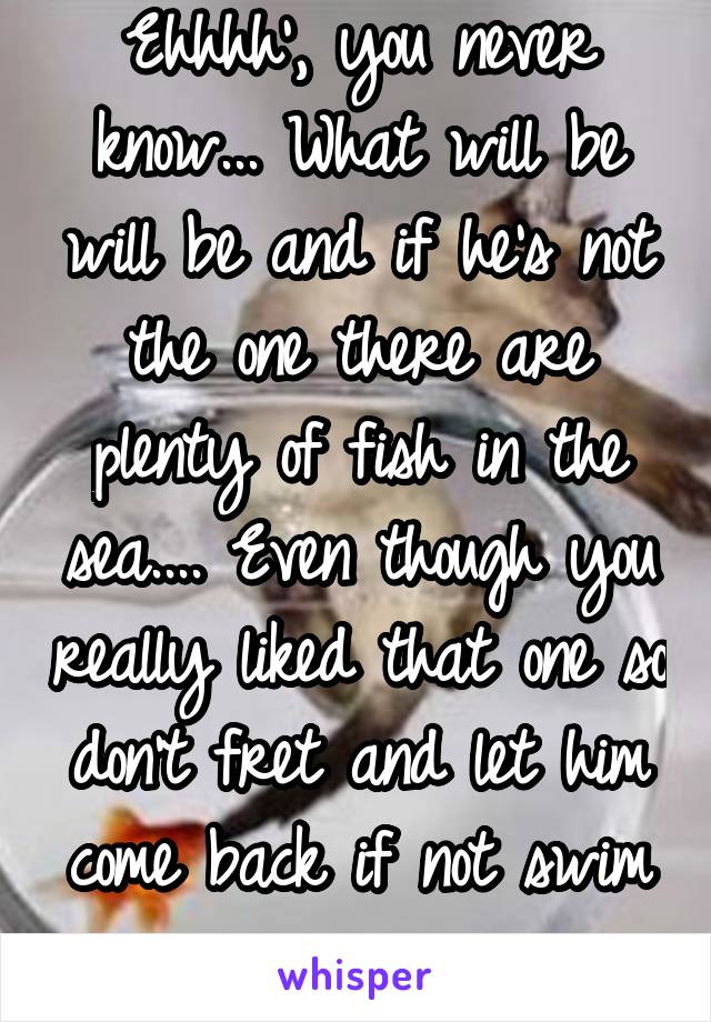 Ehhhh', you never know... What will be will be and if he's not the one there are plenty of fish in the sea.... Even though you really liked that one so don't fret and let him come back if not swim on.