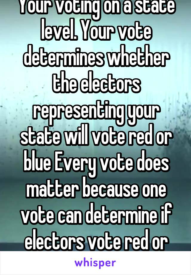 Your voting on a state level. Your vote determines whether the electors representing your state will vote red or blue Every vote does matter because one vote can determine if electors vote red or blue