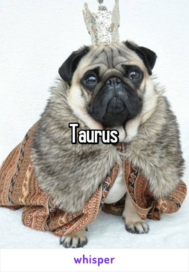 Taurus 