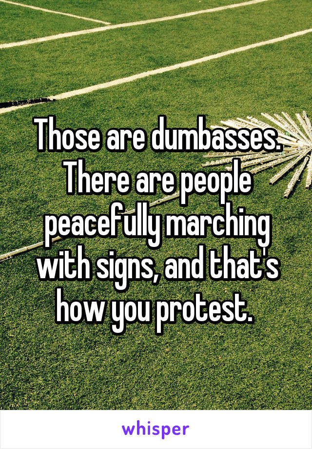 Those are dumbasses. There are people peacefully marching with signs, and that's how you protest. 