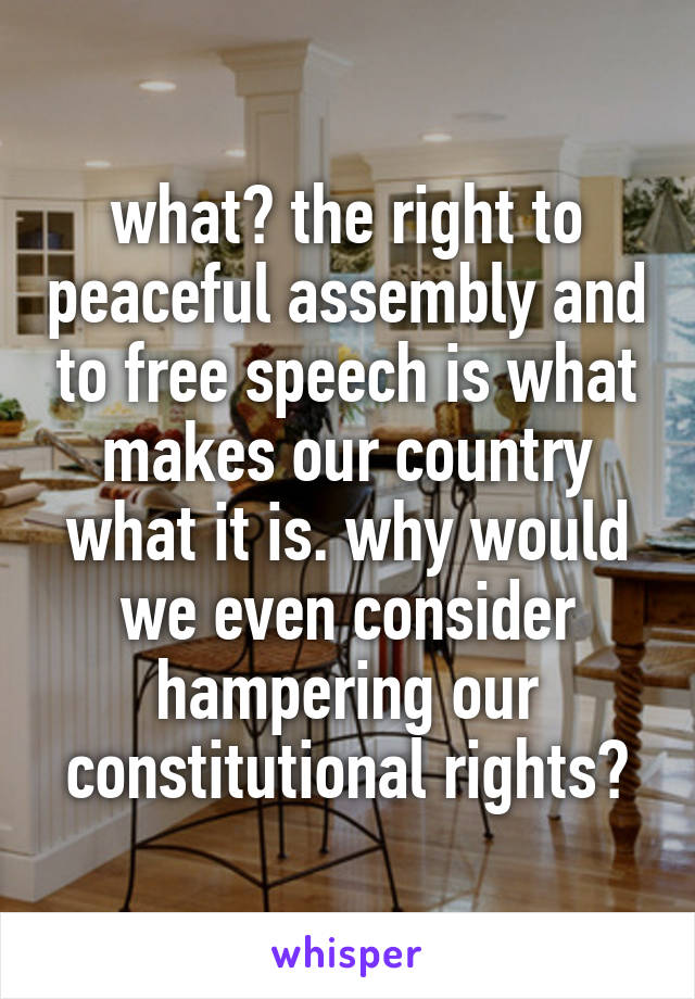 what? the right to peaceful assembly and to free speech is what makes our country what it is. why would we even consider hampering our constitutional rights?