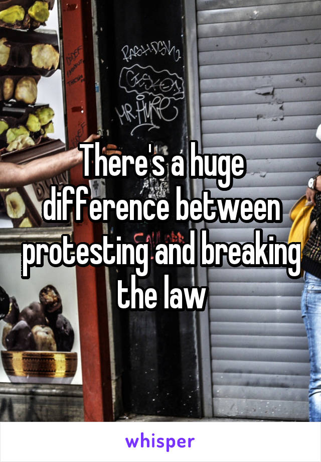 There's a huge difference between protesting and breaking the law