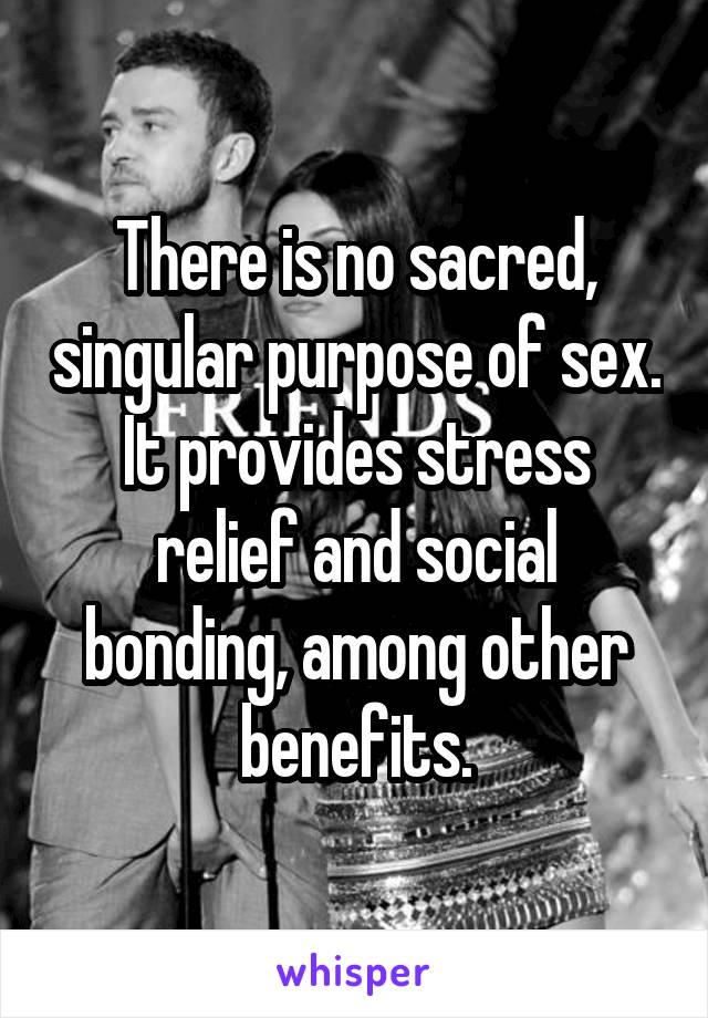 There is no sacred, singular purpose of sex. It provides stress relief and social bonding, among other benefits.