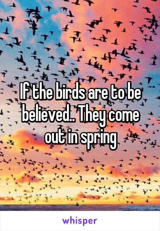 If the birds are to be believed.. They come out in spring