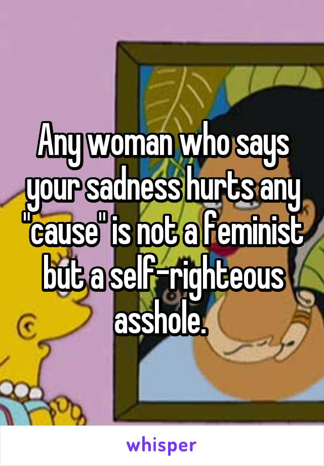 Any woman who says your sadness hurts any "cause" is not a feminist but a self-righteous asshole. 