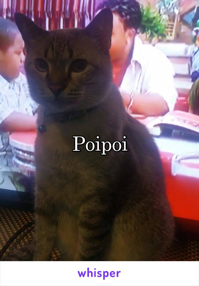 Poipoi