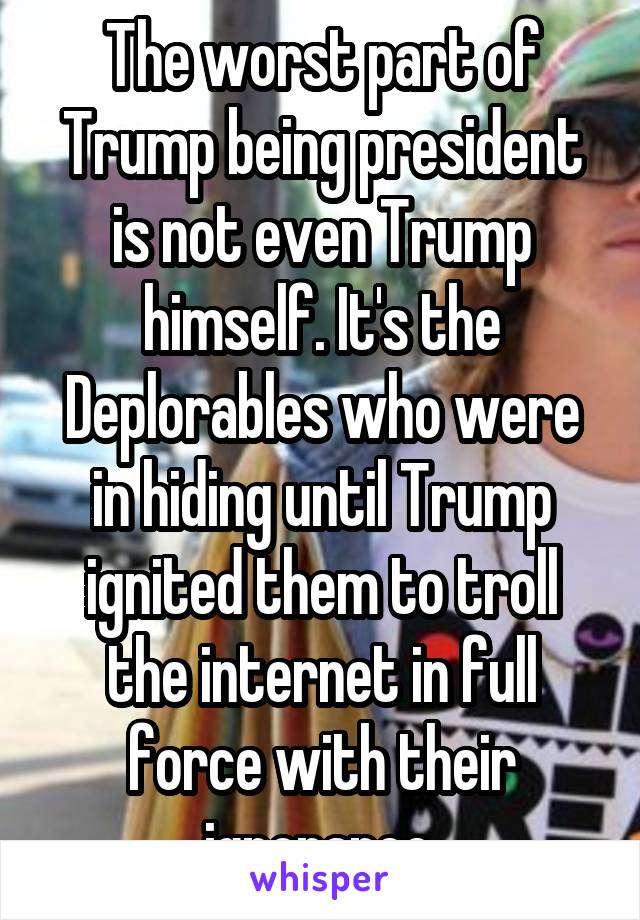 The worst part of Trump being president is not even Trump himself. It's the Deplorables who were in hiding until Trump ignited them to troll the internet in full force with their ignorance.