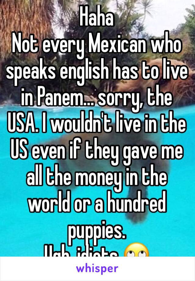 Haha
Not every Mexican who speaks english has to live in Panem... sorry, the USA. I wouldn't live in the US even if they gave me all the money in the world or a hundred puppies.
Ugh, idiots 🙄