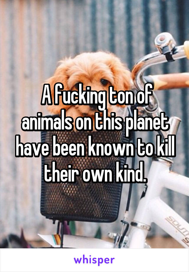  A fucking ton of animals on this planet have been known to kill their own kind.