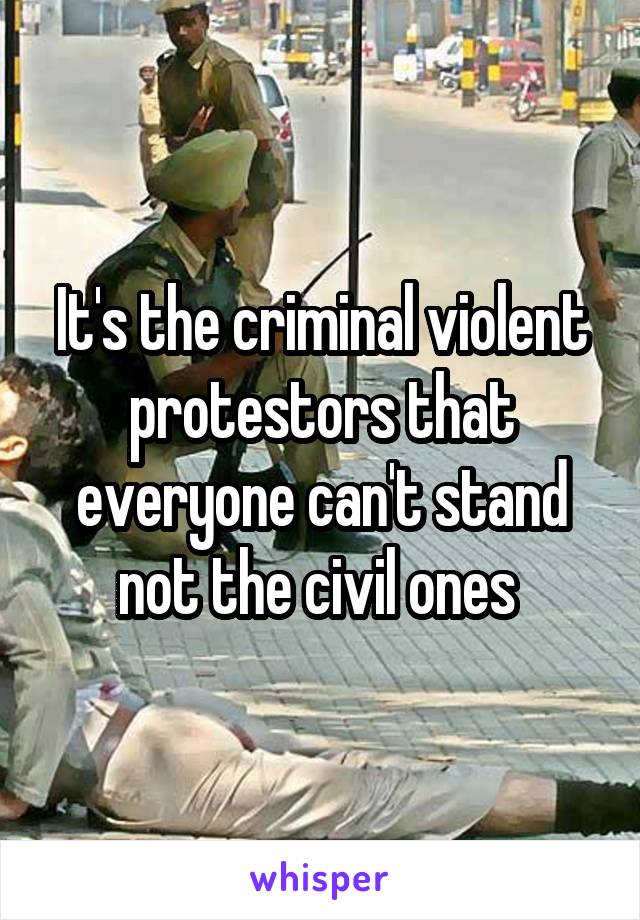 It's the criminal violent protestors that everyone can't stand not the civil ones 