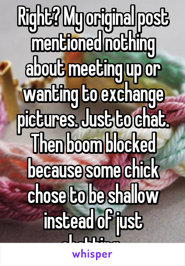 Right? My original post mentioned nothing about meeting up or wanting to exchange pictures. Just to chat. Then boom blocked because some chick chose to be shallow instead of just chatting. 