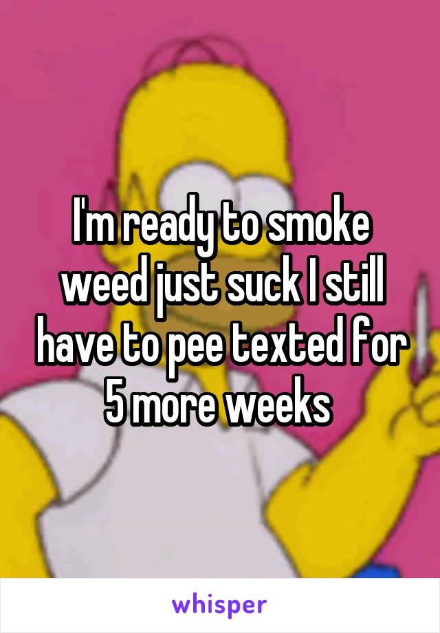 I'm ready to smoke weed just suck I still have to pee texted for 5 more weeks 