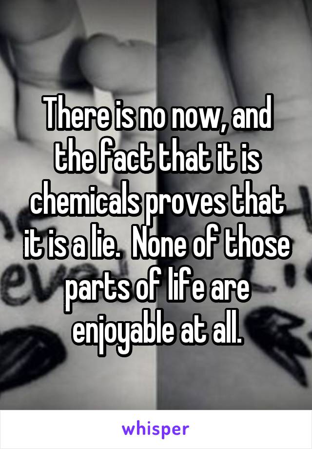 There is no now, and the fact that it is chemicals proves that it is a lie.  None of those parts of life are enjoyable at all.